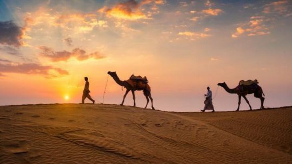 Jodhpur tourist attractions in 2026