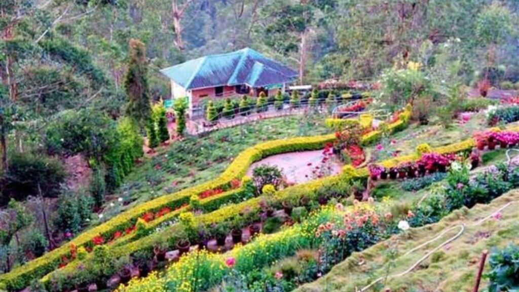 best places to visit in Munnar