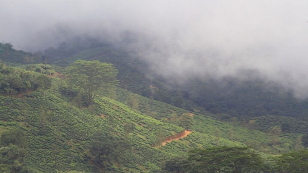 Best Places to Visit in Kerala in 2026