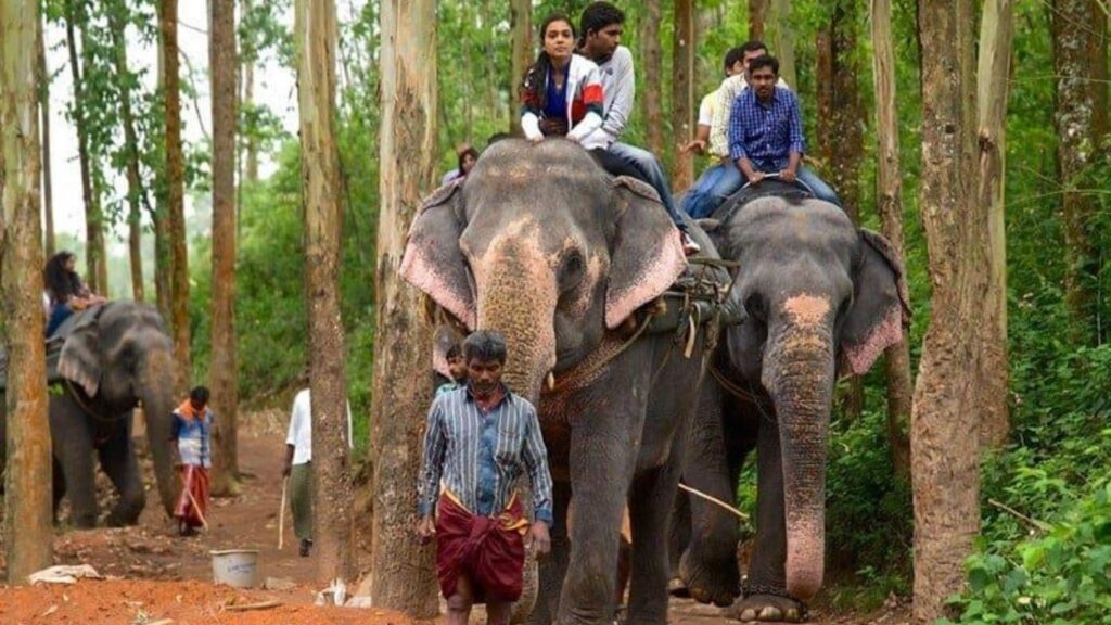 best places to visit in Munnar