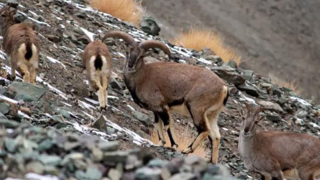 best places to visit in ladakh 2026