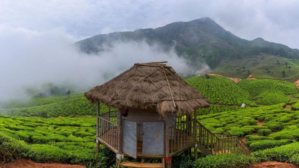 best places to visit in Munnar