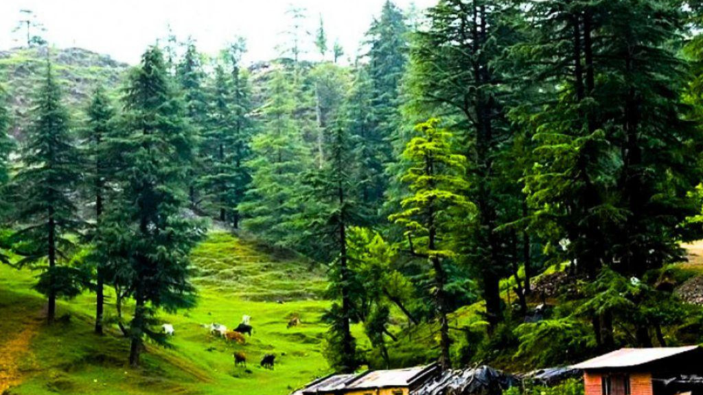 Best Places to Visit in Mussoorie 2026