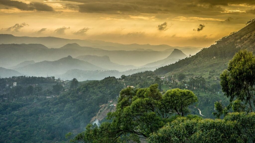 best places to visit in Munnar