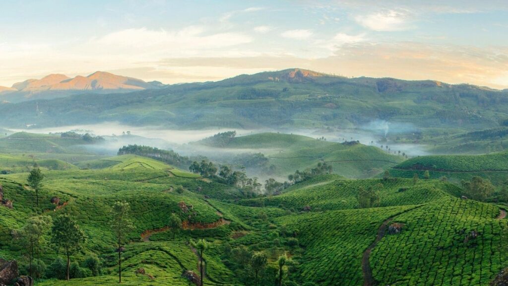 best places to visit in Munnar
