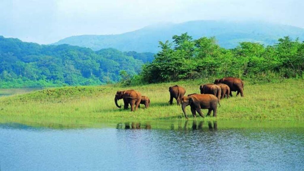 Best Places to Visit in Kerala in 2026