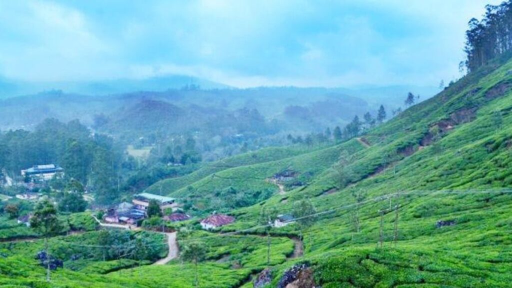best places to visit in Munnar