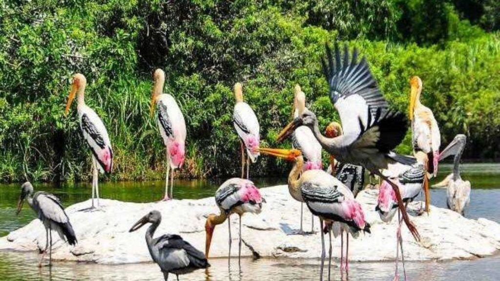 Best Places to Visit in Kerala in 2026