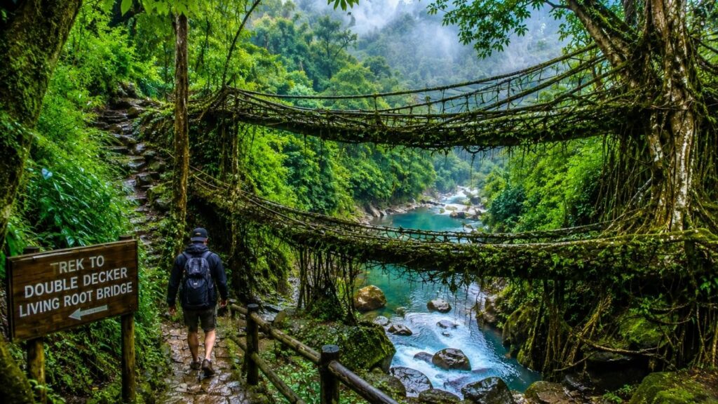 Monsoon in Meghalaya 2026,
Trek to the Double Decker Living Root Bridge, Trek to the Double Decker Living Root Bridge in Meghalaya, featuring a lush rainforest trail, ancient living root bridges, and vibrant greenery during the monsoon season.,