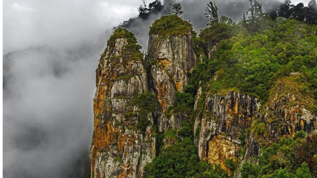 Best Hill Stations in India (2026),
Kodaikanal, Tamil Nadu – The Princess of Hill Stations,
Places to Visit in Kodaikanal,
Best Time to Visit in Kodaikanal,
How to Reach Kodaikanal,