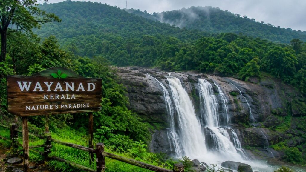 Places to Visit in India in July,
Wayanad, Kerala,