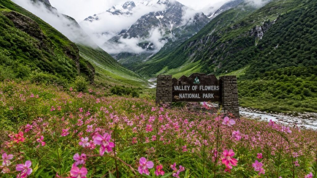 15 Best Places to Visit in India During Monsoon (2026),
Valley of Flowers, Uttarakhand – Nature's Most Colorful Masterpiece,