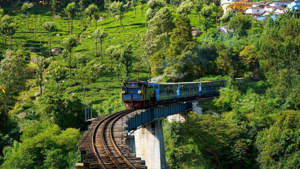 Best Hill Stations in India (2026),
Ooty, Tamil Nadu – The Queen of the Nilgiris,
Places to Visit in Ooty,
Best Time to Visit in Ooty,
How to Reach Ooty,